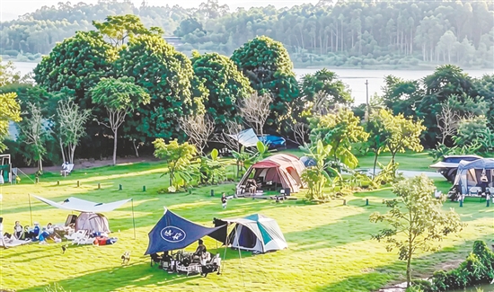 森瀾咖啡莊園內(nèi)的露營基地頗受歡迎。