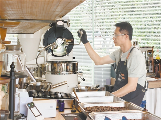 彭水旺希望開平種出的咖啡豆能走向更廣闊的市場(chǎng)。