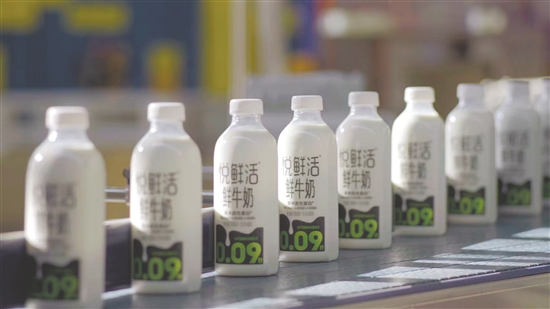 君樂寶“悅鮮活鮮牛奶”在廣東市場的占有率已達30%左右。