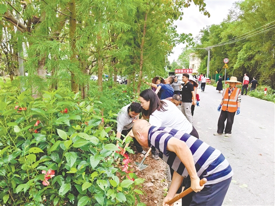 君堂鎮(zhèn)各級人大代表積極參與植樹活動。