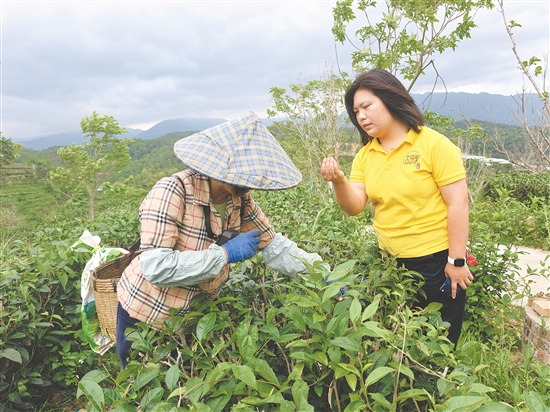 開平市大沙里農(nóng)業(yè)科技發(fā)展有限公司