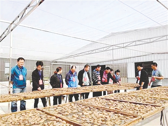 人大代表到橫山村生蠔產(chǎn)銷基地調(diào)研。