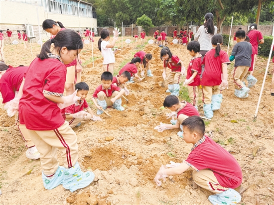 該校打造“幸福勞動(dòng)種植基地”，讓學(xué)生全程參與播種、養(yǎng)護(hù)、生長、收獲全周期農(nóng)耕體驗(yàn)。