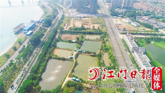 濱江大道旁地塊實景圖。