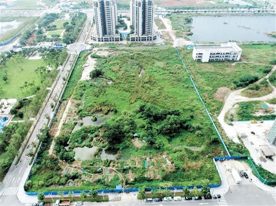 編號為JCR2024-164（江海10）號的商住用地位于江海區(qū)35號地規(guī)劃五路和龍湖路交界東南側(cè)。