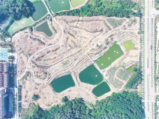 本次競拍的蓬江24、25、26號地為相連地塊。