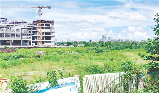 江門市JCR2025-100（新會18）號地。