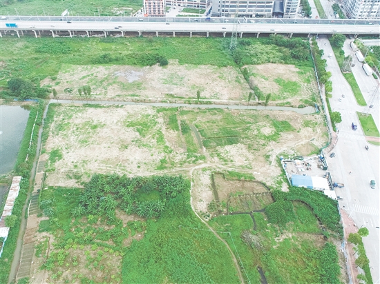 江門市JCR2025-101（江海08）號地位于江海區(qū)外海片區(qū)。