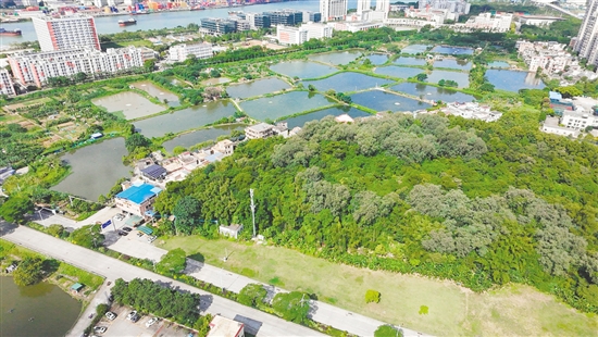 江門市JCR2025-148（蓬江22）號(hào)地。