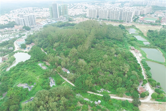 江門市JCR2025-188（臺山27）號地。