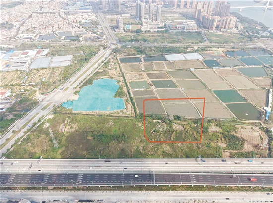 江門市JCR2026-54（江海01）號地。