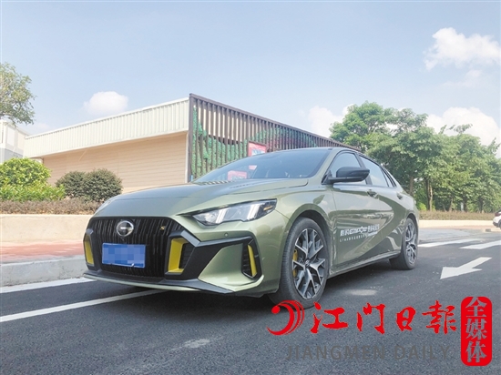 影豹的外觀運動感十足。