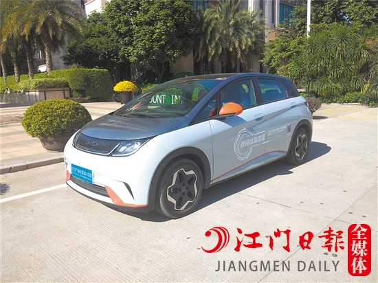 海豚外觀年輕、可愛。