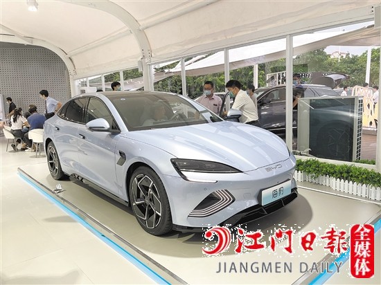 海豹外觀年輕運(yùn)動。