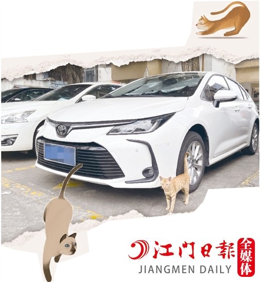 車主停車時(shí)，盡量減少停在流浪貓出沒的地方。